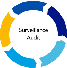 Surveillance Audit