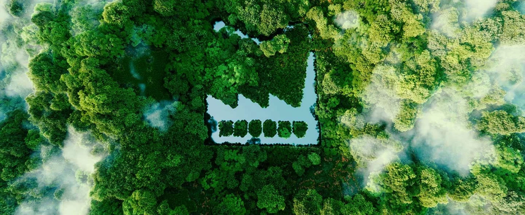 Vue aérienne d'une fôret d'arbres verts